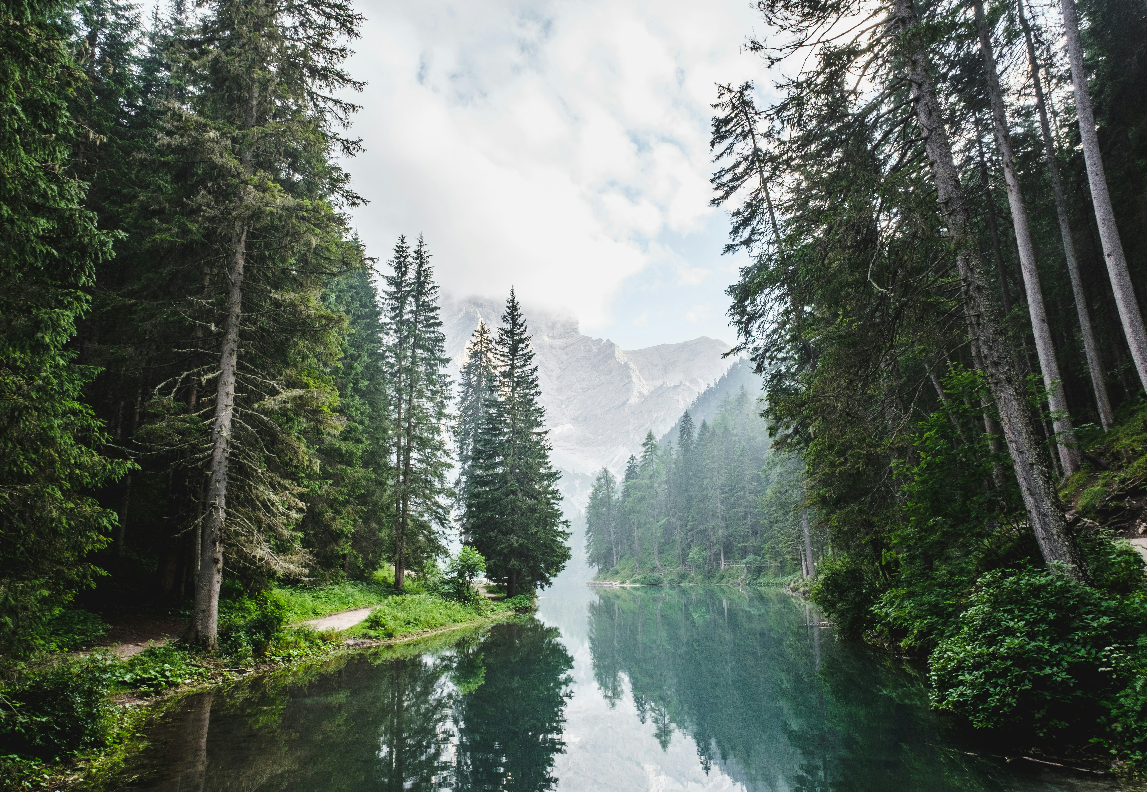 Carbon offsetting strategy